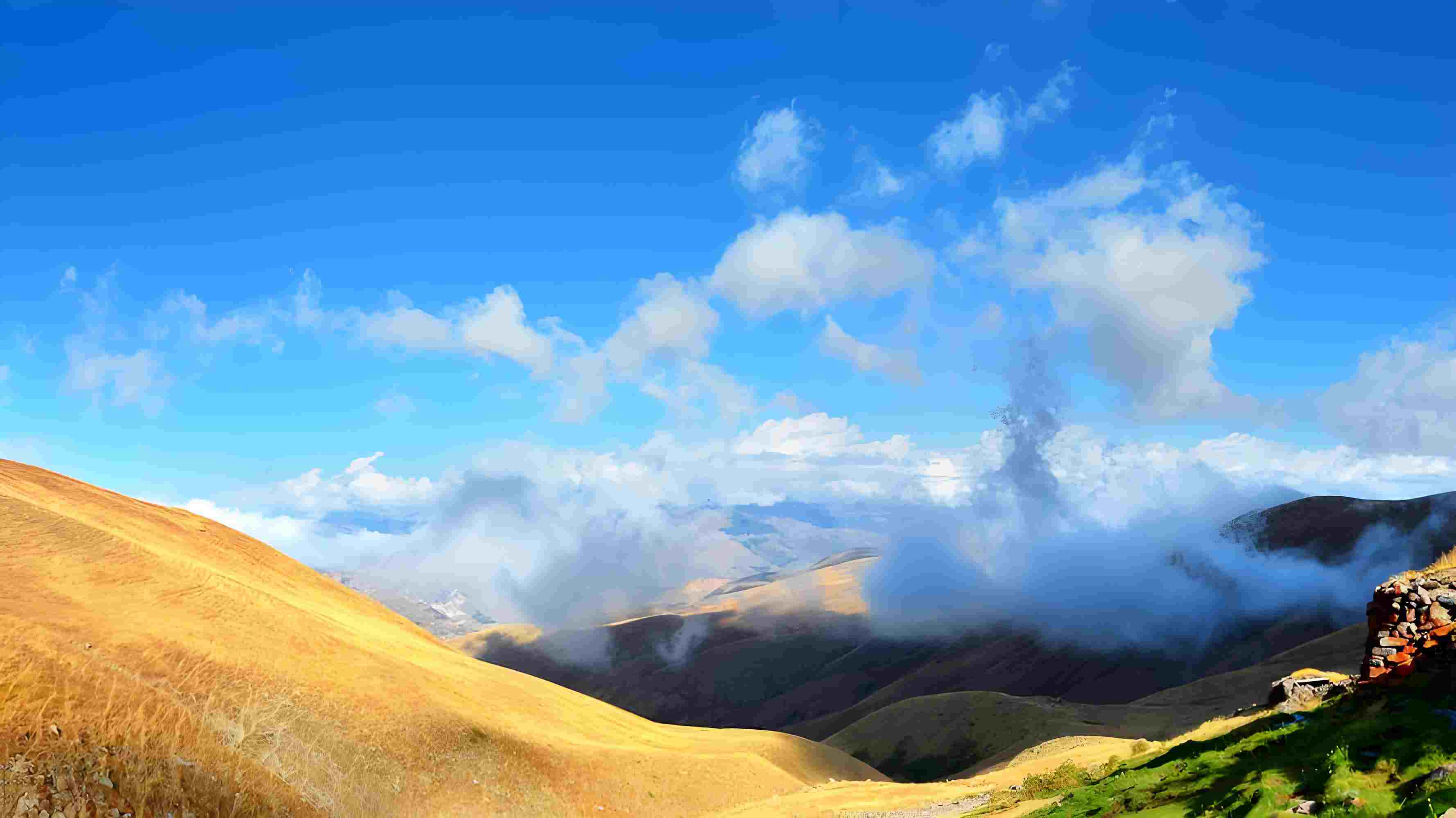 全新微信号2元一个自助下单，全新微信号2元一个自助下单是真的吗